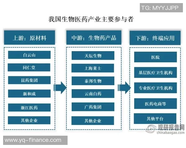 以vs22为核心探讨未来科技发展趋势与应用前景的深度分析